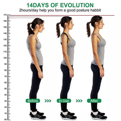 Back Support Belt Brace For Men & Women